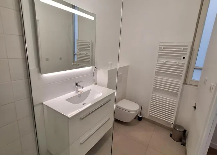 T2 Renove 公寓 波尔多